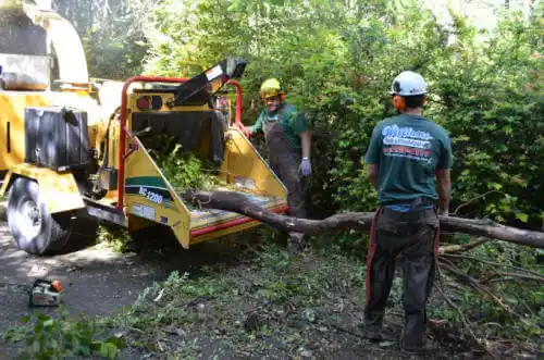 tree services Coalville